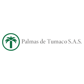 Palmas de Tumaco-8