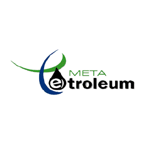 Meta petroleum-8